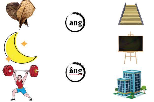 Nối đúng các hình sau: (ảnh 1)