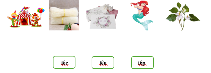 Nối đúng các hình sau: (ảnh 1)