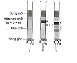 Hãy cho biết trong điều kiện thí nghiệm, chất bị hấp phụ mạnh nhất và chất bị hấp phụ kém nhất lần lượt là (ảnh 1)