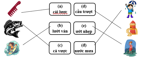 Nối đúng các hình sau: (ảnh 2)