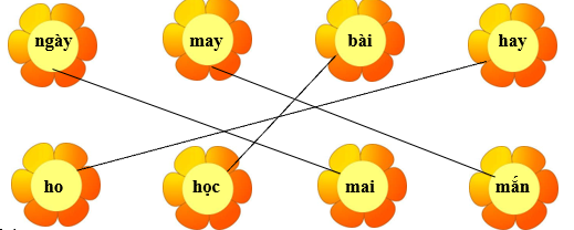 Nối đúng rồi viết lại từ ngữ: (ảnh 2)