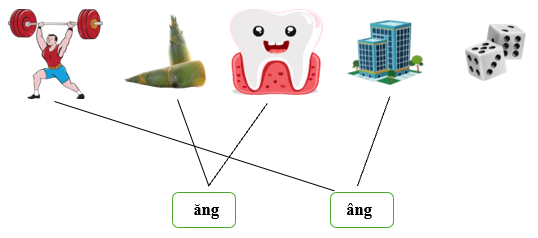 Nối đúng các hình sau: (ảnh 2)