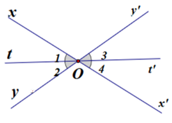 Cho hình vẽ dưới đây biểu diễn định lí: “Hai tia phân giác của hai góc đối đỉnh là hai tia đối nhau”. (ảnh 1)