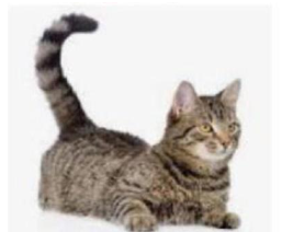 Em hãy chọn câu phù hợp với tranh: (ảnh 1)