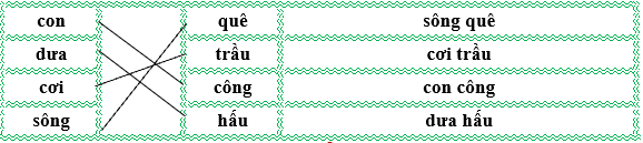 Nối đúng rồi viết lại từ ngữ: (ảnh 2)