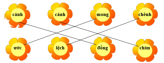 Nối đúng rồi viết lại từ ngữ: (ảnh 2)