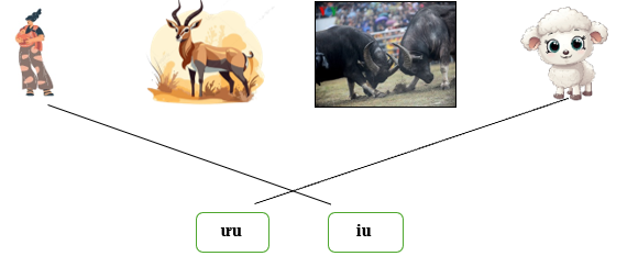 Nối đúng các hình sau: (ảnh 2)