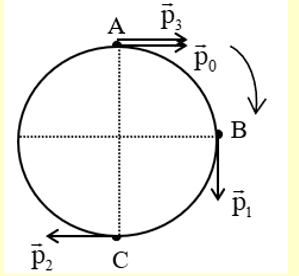 Một vật khối lượng m = 1kg chuyển động tròn đều với vận tốc v = 10m/s. Tính độ biến thiên động lượng của vật sau ½ chu kì. (ảnh 1)