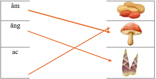 Hãy ghép vần với tên sự vật trong hình chứa vần tương ứng. (ảnh 2)
