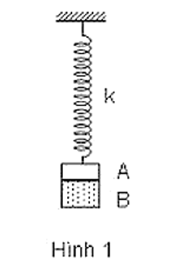 Hai vật A, B dán liền nhau mB = 2mA = 200g, treo vào một lò xo có độ cứng k = 50N/m, hình 1. (ảnh 1)