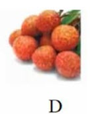 Tên quả nào sau đây có vần 