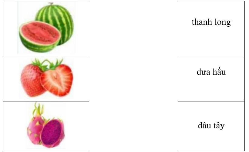 Hãy ghép hình ảnh với từ chỉ quả thích hợp. (ảnh 1)