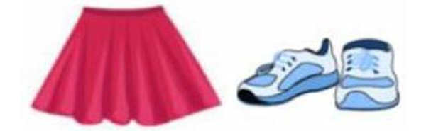 Tên những đồ vật trên có chung vần gì? (ảnh 1)