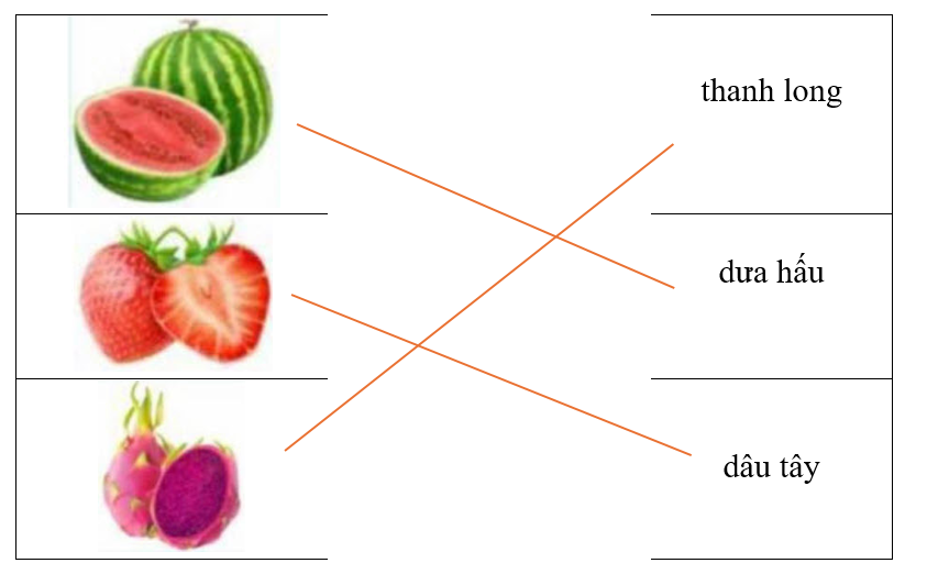 Hãy ghép hình ảnh với từ chỉ quả thích hợp. (ảnh 2)
