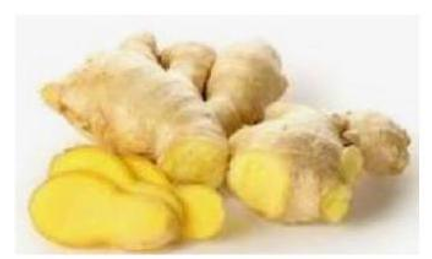 Đây là củ gì? (ảnh 1)