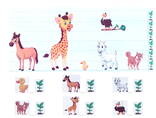 Quan sát và viết chiều cao của từng con vật: (ảnh 1)