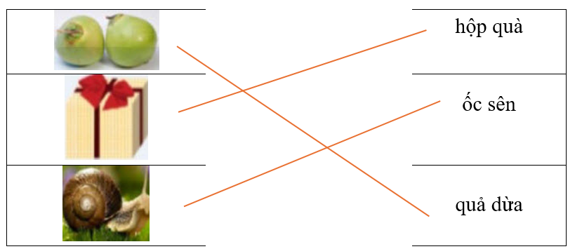 Hãy ghép hình ảnh với từ tương ứng. (ảnh 2)