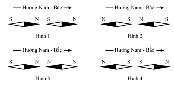 Hai kim nam châm nhỏ đặt trên Trái Đất xa các dòng điện và các nam châm khác; đường nối hai trọng tâm của chúng nằm theo hướng Nam – Bắ (ảnh 1)