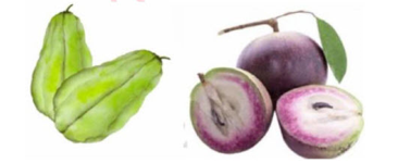 Tên những loại quả sau có chung âm gì? (ảnh 1)