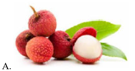 Hình nào dưới đây là quả vải? (ảnh 2)