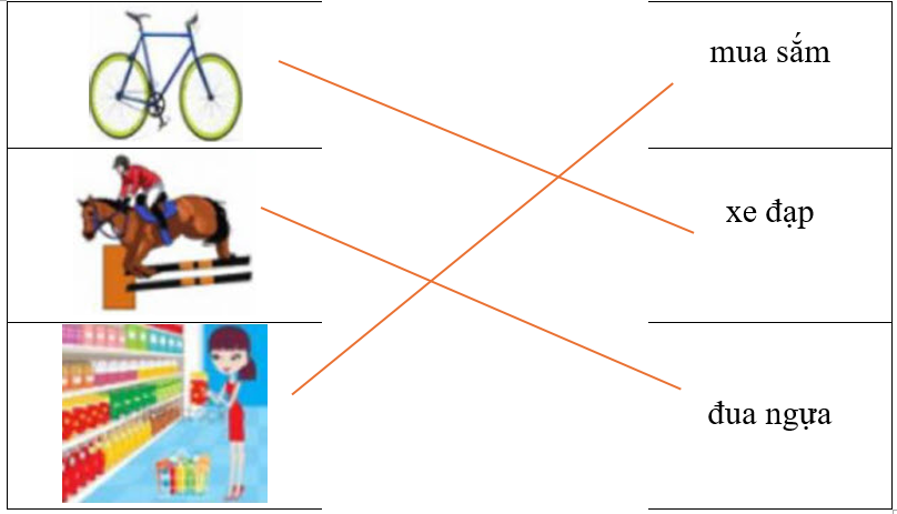 Hãy ghép hình ảnh với từ tương ứng. (ảnh 2)