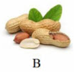 Tên loại quả nào dưới đây có vần