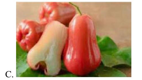 Hình nào dưới đây là quả vải? (ảnh 4)