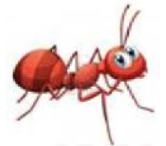 Đây là con gì?   A. con ong			 (ảnh 1)