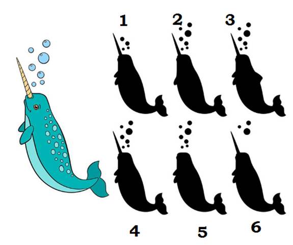 A cartoon of a narwhal with a unicorn horn

Description automatically generated