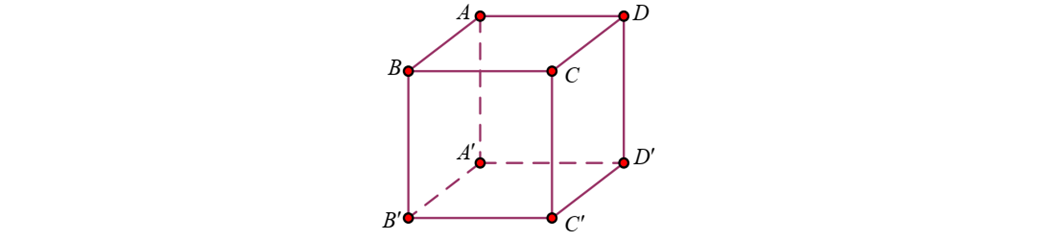 Cho hình lập phương \[ABCD.A'B'C'D'\]. Hãy chọn kết luận Sai                                         (ảnh 1)
