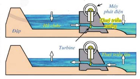 Tại thời điểm t = 0, mực nước trong hồ chứa cao 8 m. Mực nước trong hồ cao nhất và thấp nhất bao nhiêu? (ảnh 1)