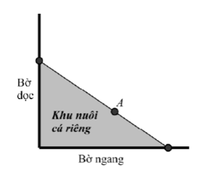 Người ta giăng lưới để nuôi riêng một loại cá trên một góc hồ. Biết rằng lưới được giăng (ảnh 1)