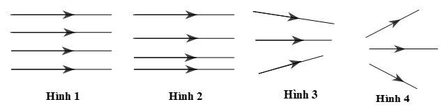 Những đường sức điện nào vẽ ở dưới đây là đường sức của điện trường đều
 (ảnh 1)