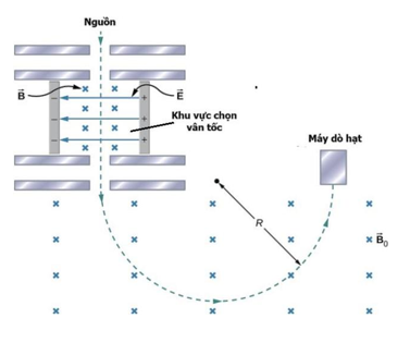 Máy quang phổ khối là thiết bị tách các ion theo tỷ lệ điện tích trên khối lượng của chúng (ảnh 1)