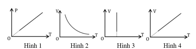 Đồ thị nào sau đây biểu diễn quá trình biến đổi trạng thái của một lượng khí xác định khi áp suất không đổi?  (ảnh 1)