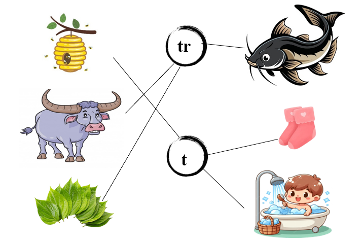 Nối đúng các hình dưới: (ảnh 2)