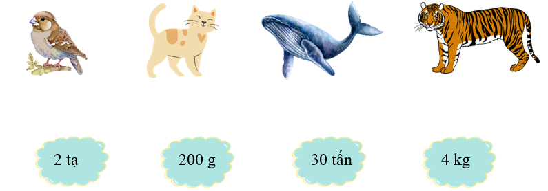 Nối con vật với số đo cân nặng thích hợp. (ảnh 1)