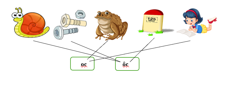Nối đúng các hình sau : (ảnh 2)