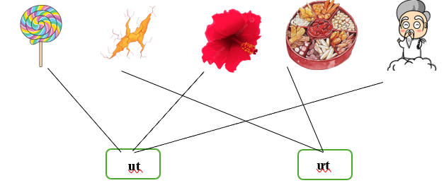 Nối đúng các hình dưới đây: (ảnh 2)