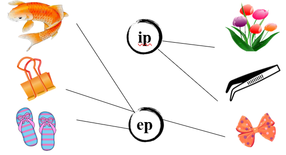 Nối đúng các hình sau: (ảnh 2)