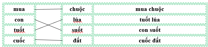 Nối đúng rồi viết lại từ ngữ: (ảnh 2)
