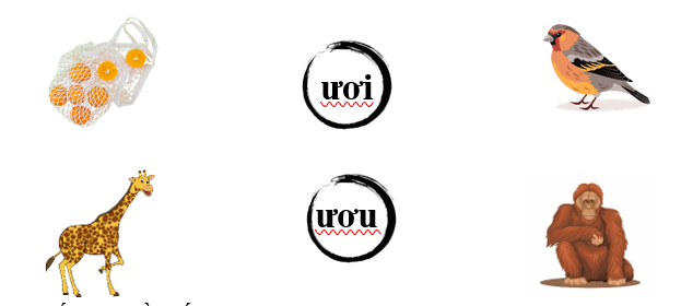 Nối đúng các hình sau: (ảnh 1)