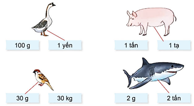 Chọn số đo phù hợp với cân nặng của mỗi con vật trong thực tế. (ảnh 2)