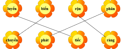 Nối đúng rồi viết lại từ ngữ: (ảnh 2)
