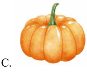 Đâu là quả gấc? (ảnh 3)