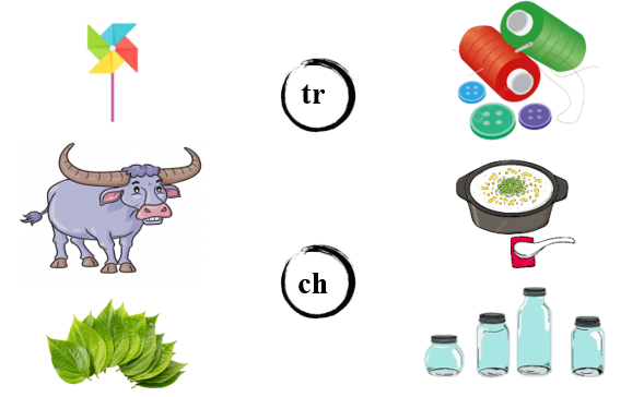 Nối đúng các hình sau: (ảnh 1)