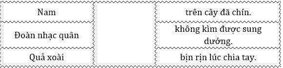 Nối đúng các từ sau: (ảnh 1)