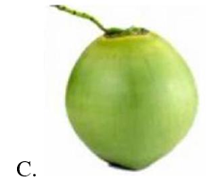 Giải câu đố sau: Quả gì như quả bóng xanh Đung đưa trên cành chờ tết Trung thu? (ảnh 4)