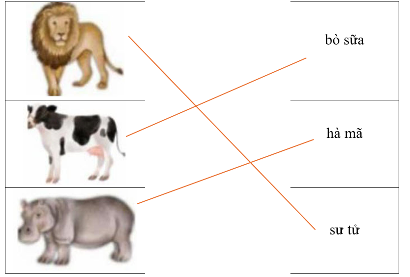 Hãy ghép hình ảnh với từ tương ứng. (ảnh 2)