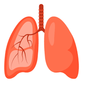 Vận dụng nguyên lý chuyển dịch cân bằng Le Chatelier, biện pháp nào sau đây giúp oxygen lên não nhiều hơn? (ảnh 1)